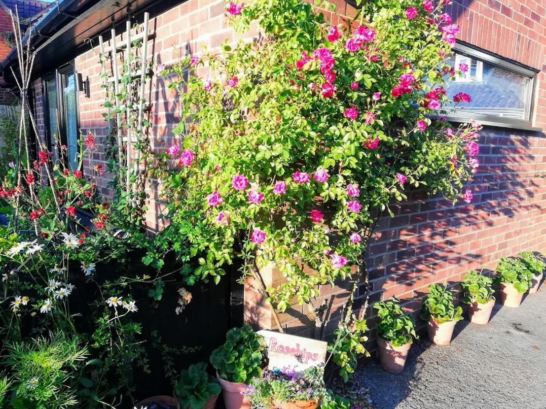 Apartamento Rosehips At Kerensa, Naburn York Exterior foto